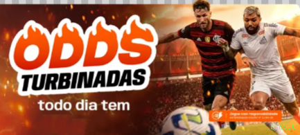 Suporte Login